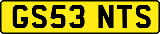 GS53NTS