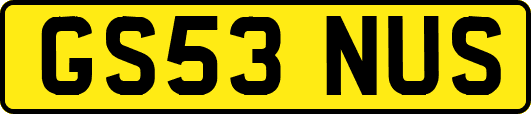 GS53NUS