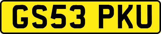 GS53PKU