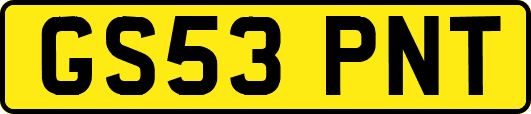 GS53PNT