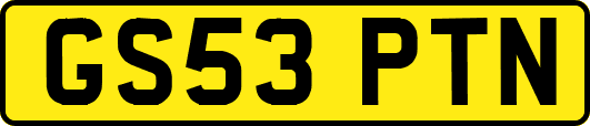 GS53PTN