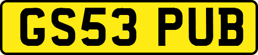 GS53PUB