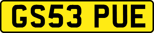 GS53PUE