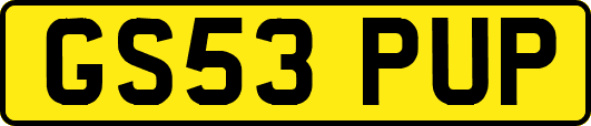GS53PUP