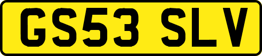 GS53SLV