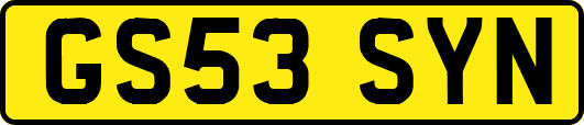 GS53SYN