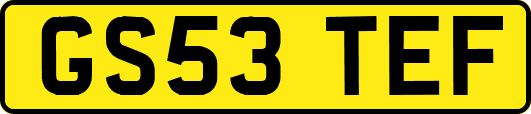 GS53TEF