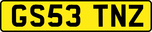 GS53TNZ