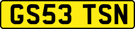 GS53TSN