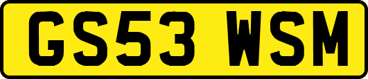 GS53WSM
