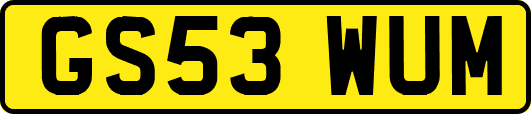 GS53WUM
