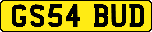 GS54BUD