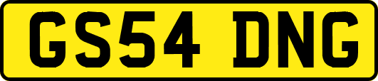 GS54DNG