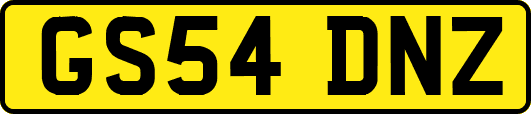 GS54DNZ