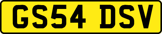 GS54DSV