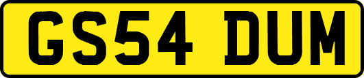 GS54DUM