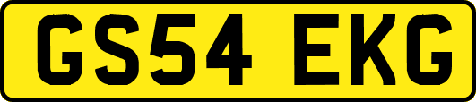 GS54EKG