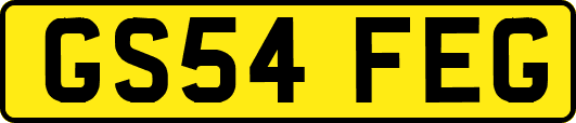 GS54FEG