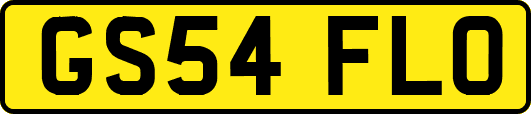 GS54FLO