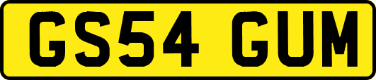 GS54GUM