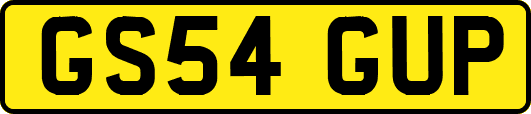 GS54GUP