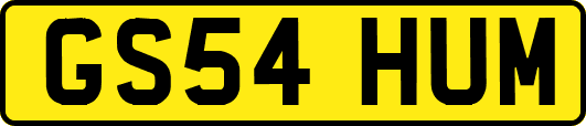 GS54HUM