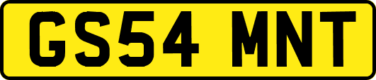 GS54MNT