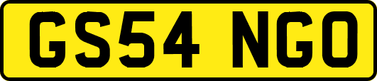GS54NGO
