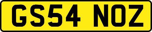 GS54NOZ