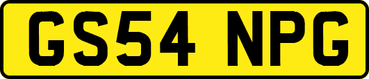 GS54NPG