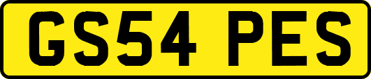 GS54PES