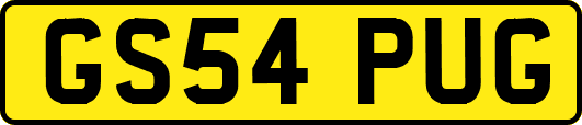 GS54PUG