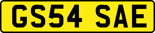 GS54SAE