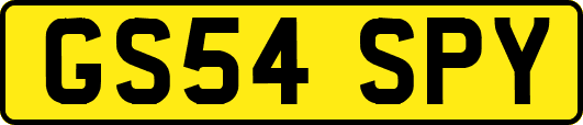 GS54SPY