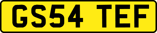 GS54TEF