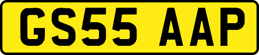 GS55AAP