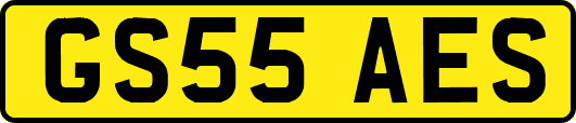 GS55AES
