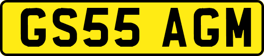 GS55AGM