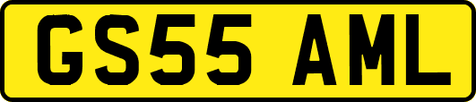 GS55AML