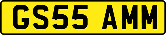 GS55AMM