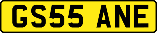 GS55ANE