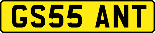 GS55ANT