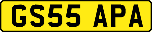 GS55APA