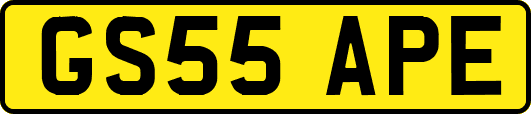 GS55APE