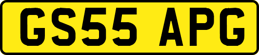 GS55APG