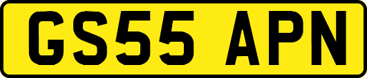 GS55APN