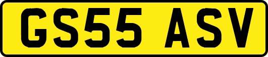 GS55ASV