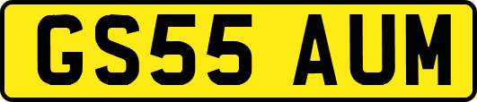 GS55AUM
