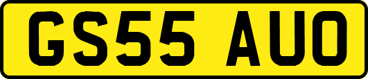 GS55AUO