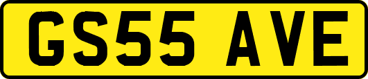 GS55AVE